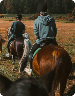 escursioni a cavallo